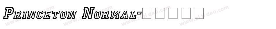 Princeton Normal字体转换